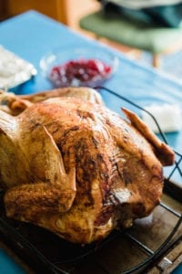 Roast Turkey closeup with cranberry sauce in the background; cooked using a brine recipe