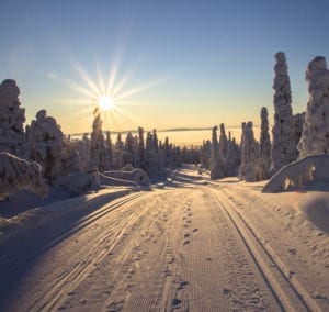 Sunlight on snowy road with trees highlighting light therapy for seasonal affective disorder