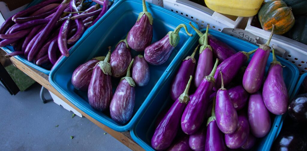 Baskets of purple eggplants to choose from to make eggplant dumplings alla parmigiana.